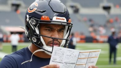 a sharp - Image generated by AI for representational purposes.