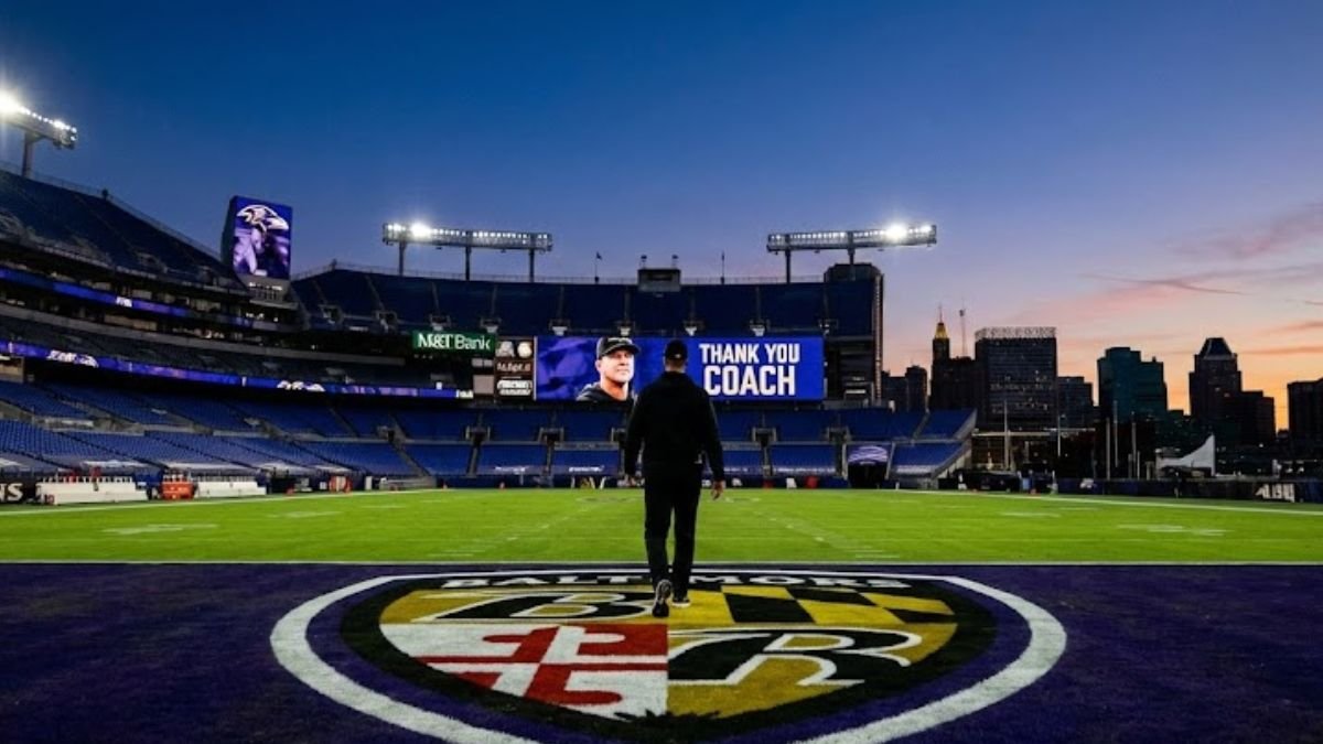 ravens fire john harbaugh - Image generated by AI for representational purposes.