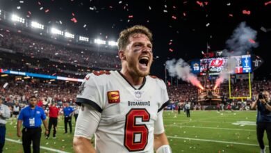 raymond james stadium - Image generated by AI for representational purposes.